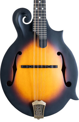 Washburn Guitars
