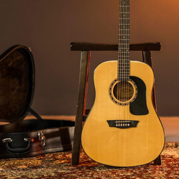 Washburn Apprentice D5 gallery guitar body