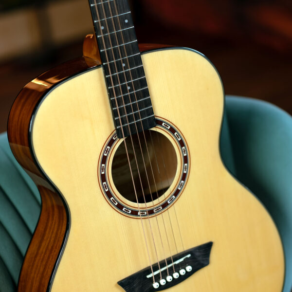 Washburn Apprentice F5 gallery guitar body