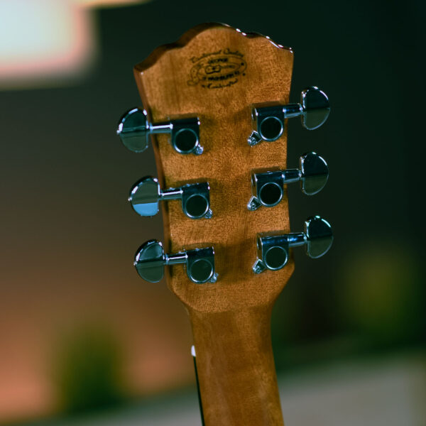 Washburn Apprentice F5 gallery headstock
