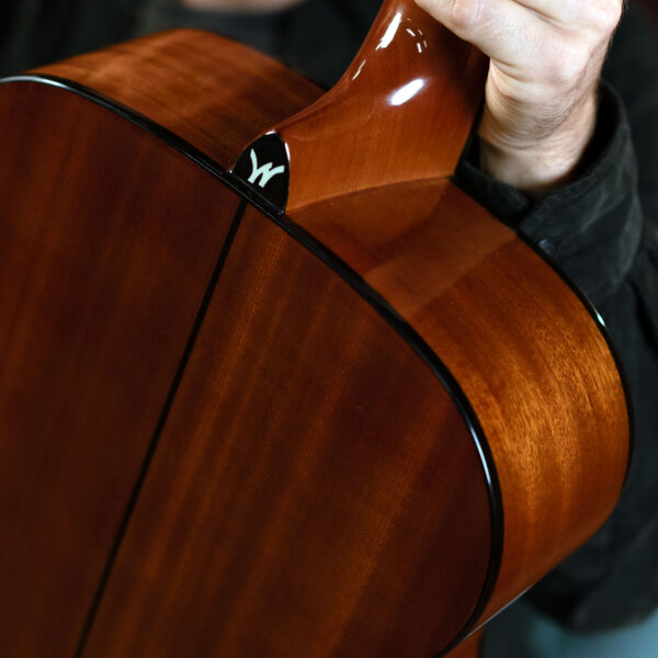 Washburn Apprentice F5 gallery guitar back