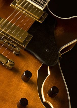 hollowbody series image