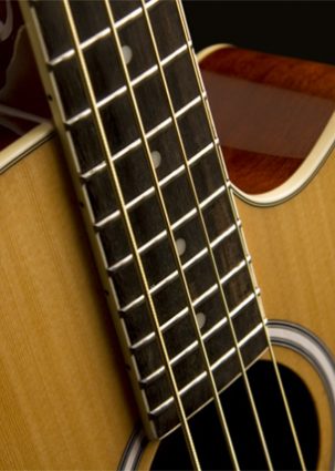 ACOUSTIC BASS SERIES IMAGE