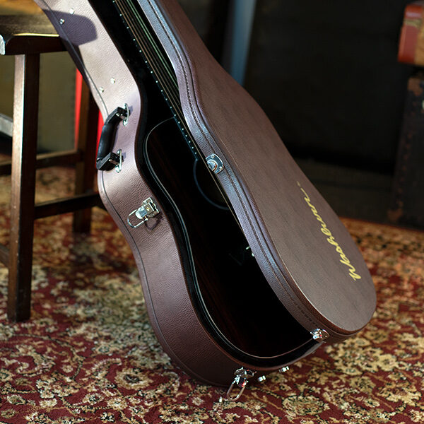 acoustic guitar in hard case