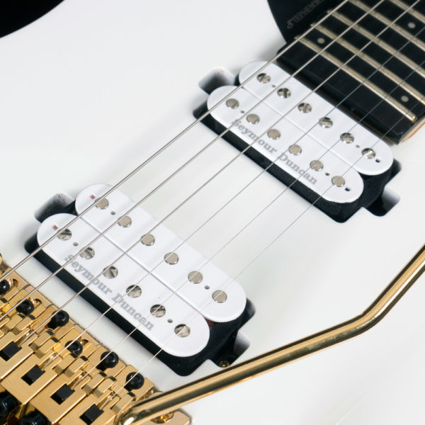 close up of parallaxe david palau signature model M10FR pickups