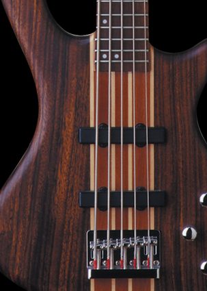 Taurus bass series image