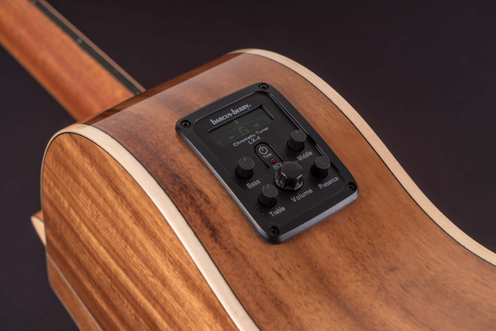 Washburn sc56s hotsell