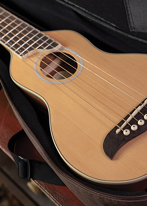 partial top view of rover 10SK travel guitar