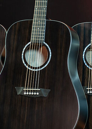 Washburn Deep Forest Ebony series guitars