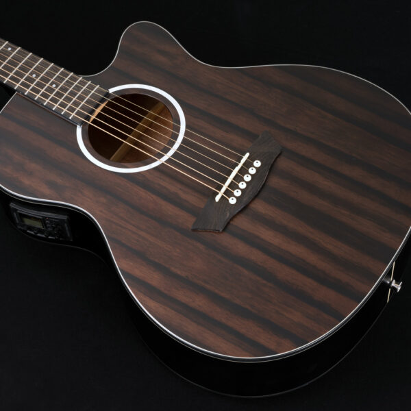 Washburn Deep Forest Ebony ACE Glamor Shot