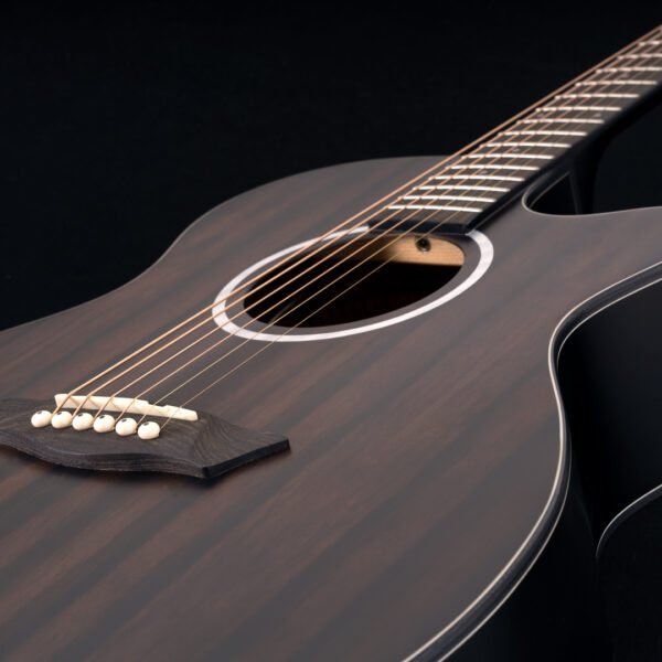 Washburn Deep Forest Ebony ACE Glamor Shot