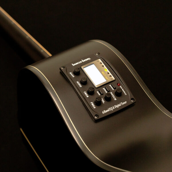 Washburn Deep Forest Ebony ACE Glamor Shot