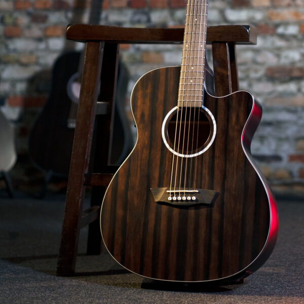 Washburn Deep Forest Ebony ACE Glamor Shot