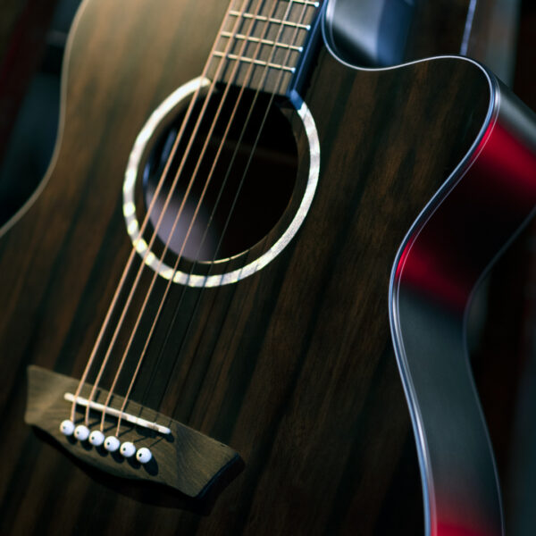 Washburn Deep Forest Ebony ACE Glamor Shot