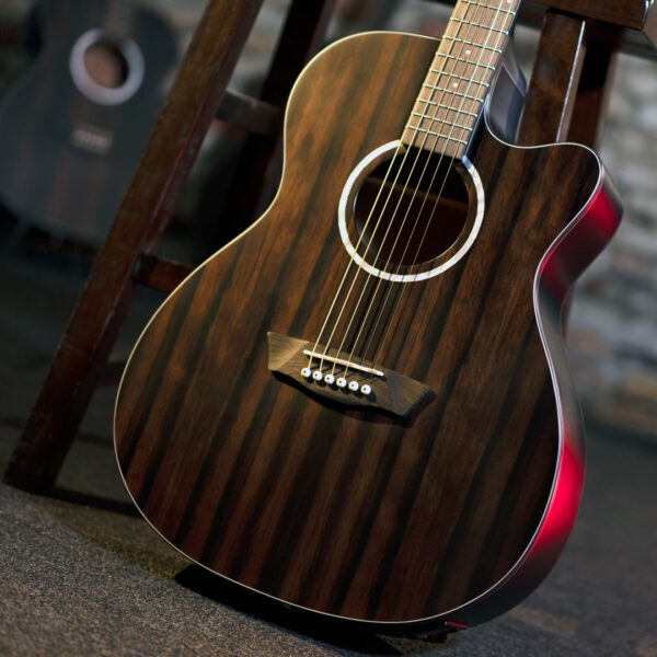 Washburn Deep Forest Ebony ACE Glamor Shot