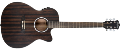 Washburn Deep Forest Ebony ACE main image