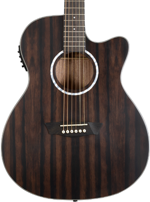 Washburn Guitars