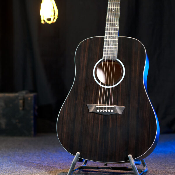 Washburn Deep Forest Ebony D glamor shot