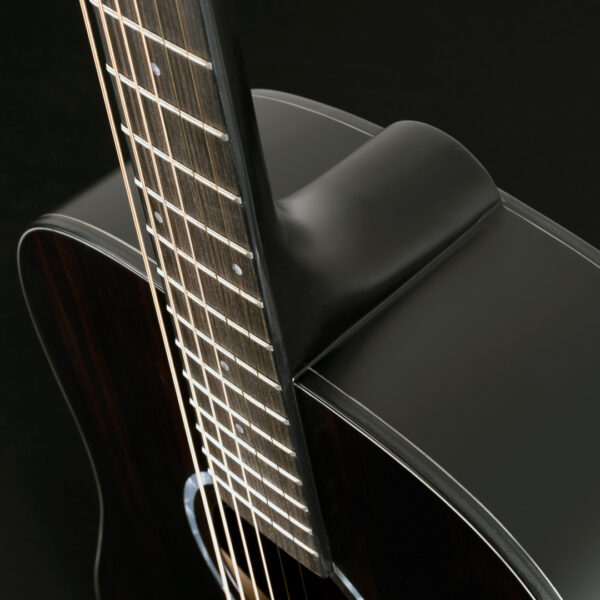 Washburn Deep Forest Ebony D glamor shot