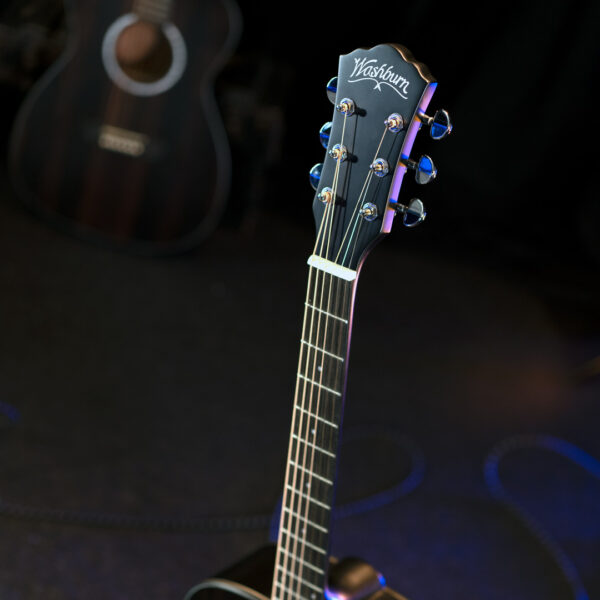 Washburn Deep Forest Ebony D glamor shot