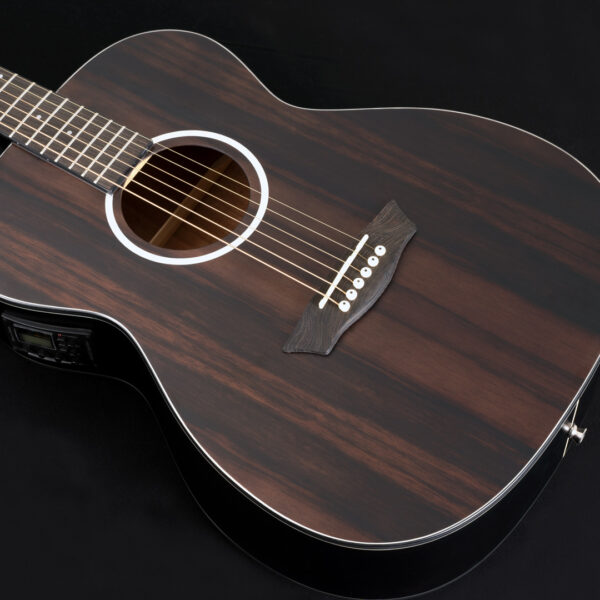 Washburn Deep Forest Ebony FE glamor shot