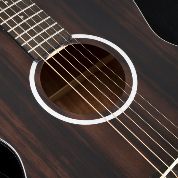 Washburn Deep Forest Ebony FE glamor shot