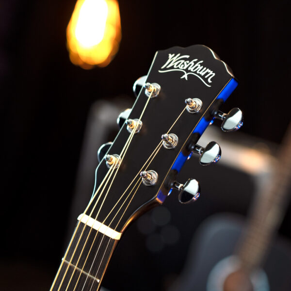 Washburn Deep Forest Ebony FE glamor shot