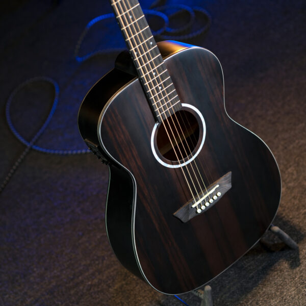 Washburn Deep Forest Ebony FE glamor shot