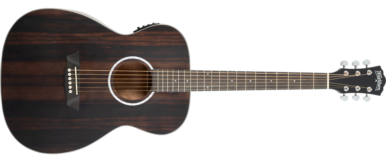 Washburn Deep Forest Ebony FE main image