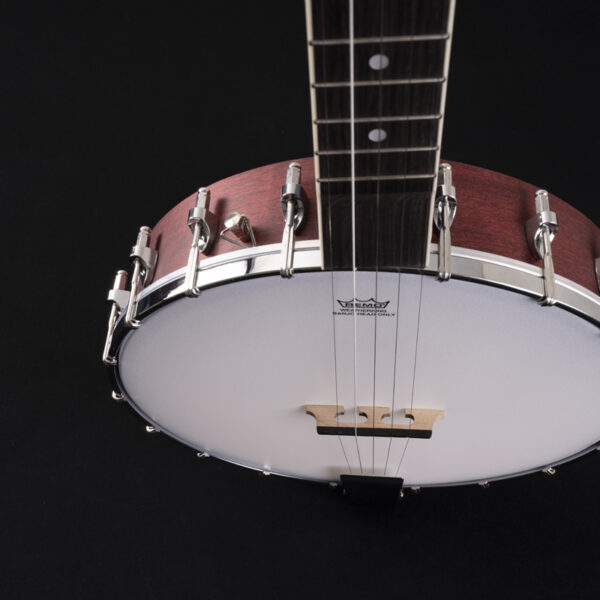 top view of a Washburn B7 Banjo