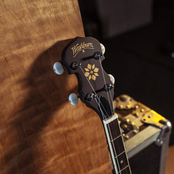 close up of the headstock on a Washburn B7 Banjo