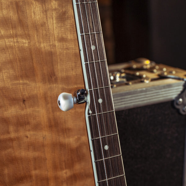 close up of the fretboard on a Washburn B7 Banjo