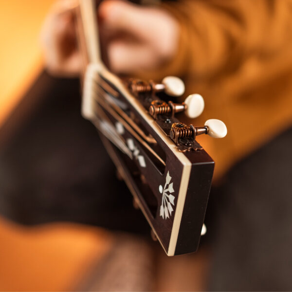 Washburn R-310 Victorian Parlor Acoustic Guitar