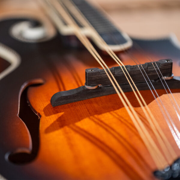 Washburn Americana M3SE F-style Mandolin
