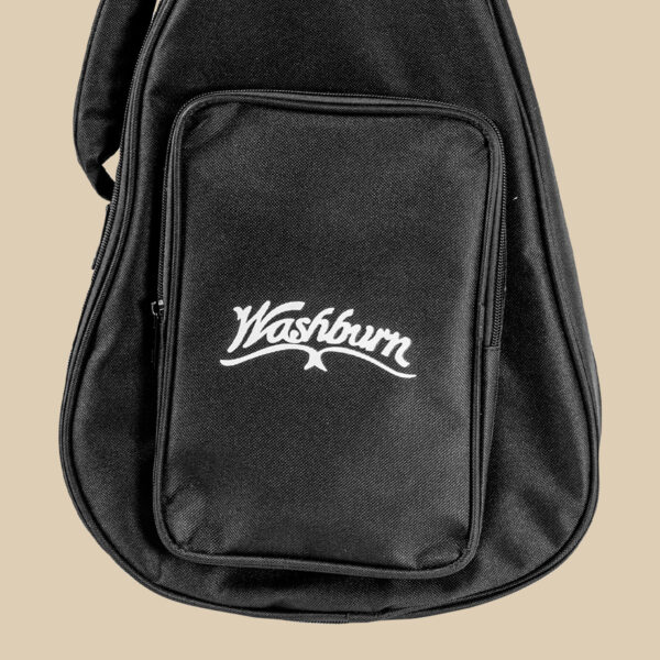 Washburn Americana M3SE F-style Mandolin gig bag