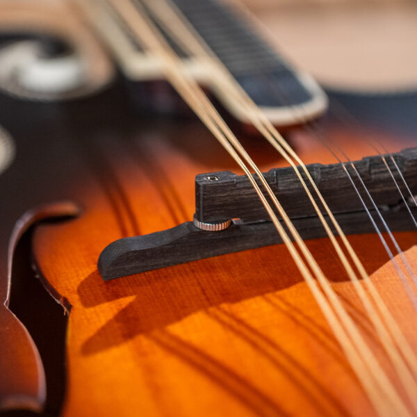 Washburn Americana M3SE F-style Mandolin
