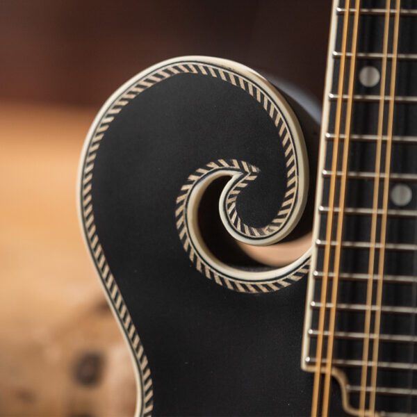 Washburn Americana M3SE F-style Mandolin