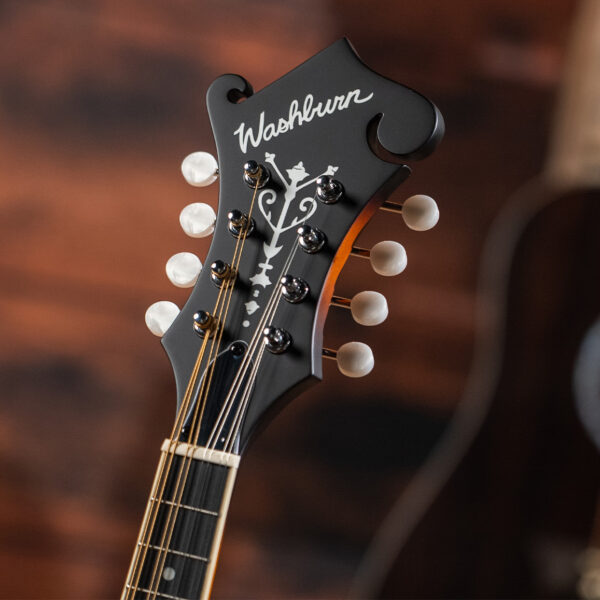 Washburn Americana M3SE F-style Mandolin