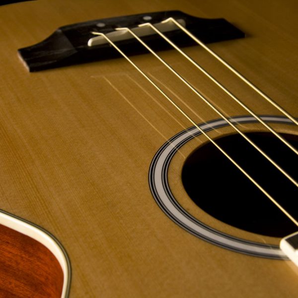 AB5K close up of sound hole and bridge