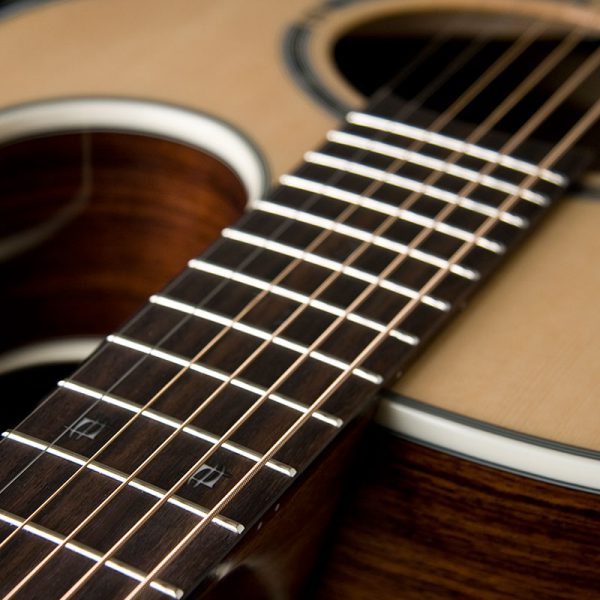 EA20 close up of 12th fret inlay