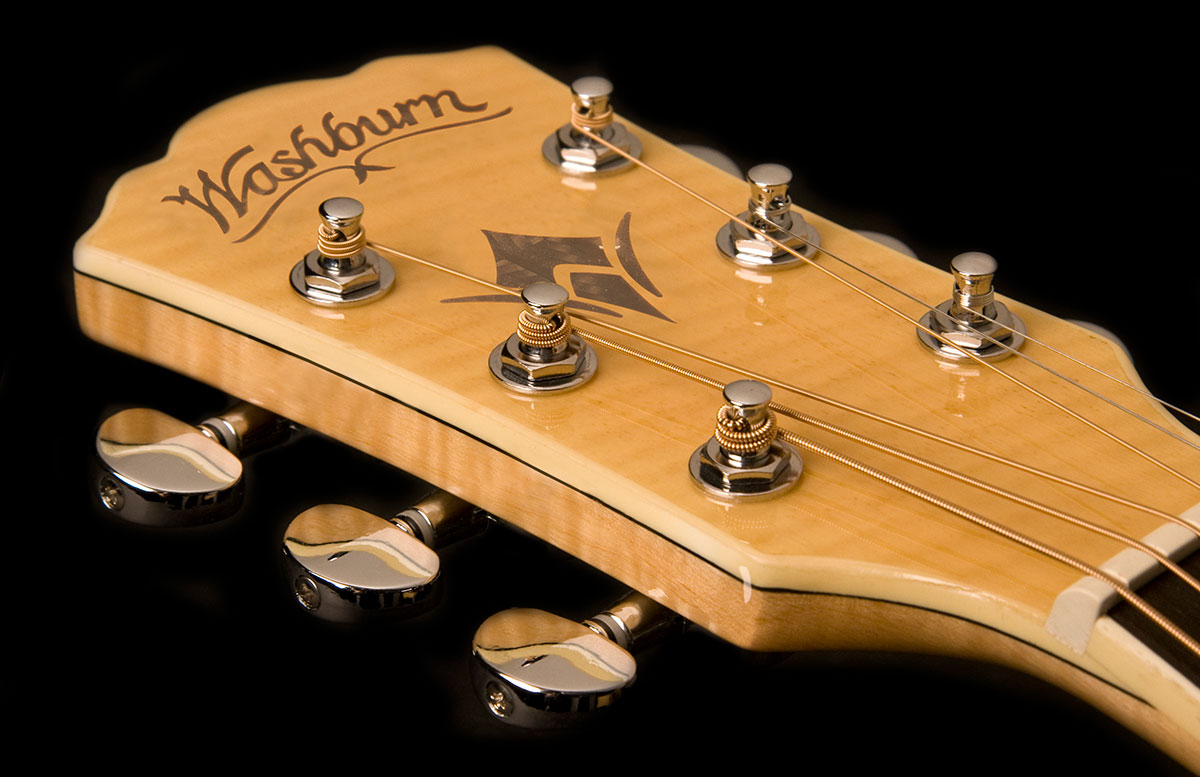 Washburn Guitars