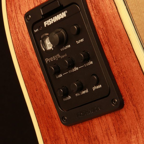 HD100SWCEK close up of the electronics control panel