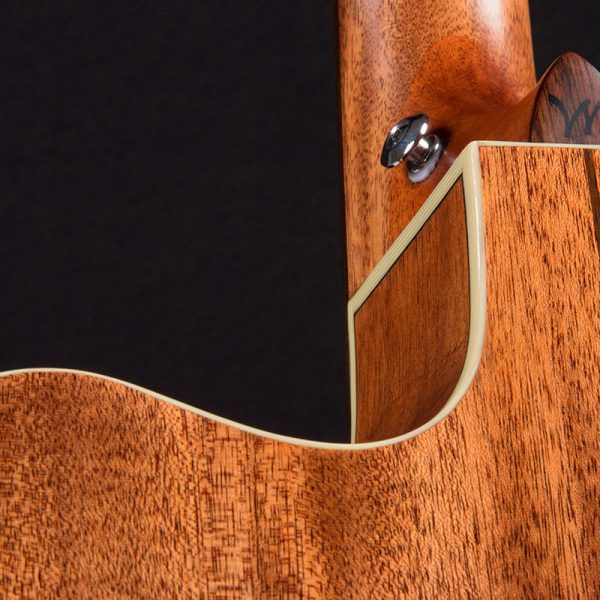 HD100SWCEK close up of the cutaway from the back