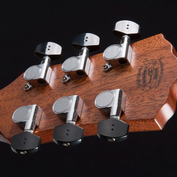 HD100SWCEK close up of the back of the head stock