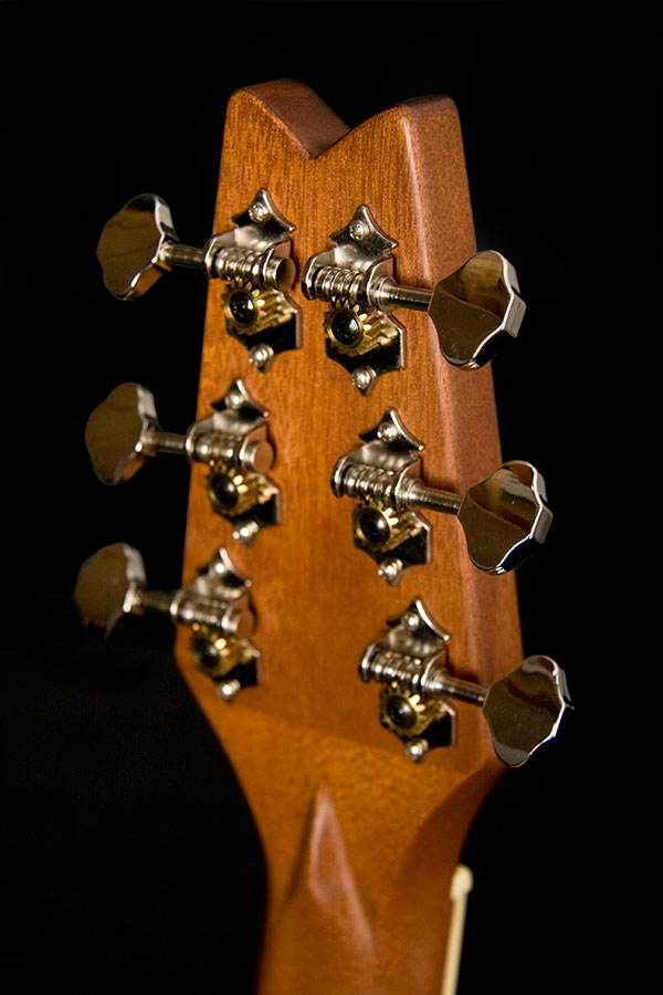 Washburn Guitars