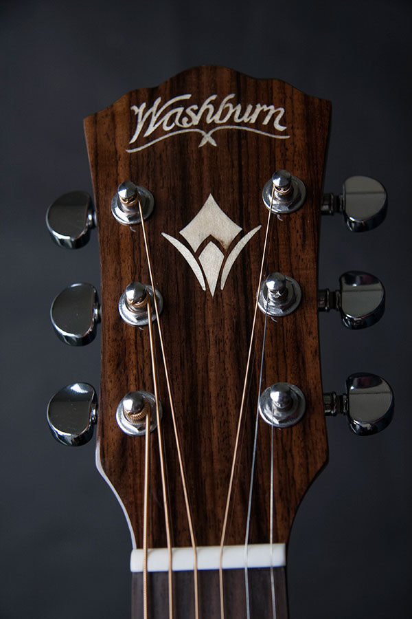 Washburn wcg80 deals
