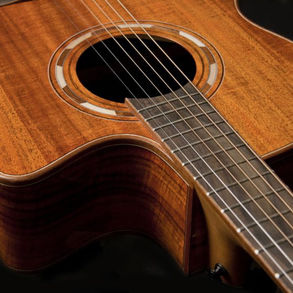 WCG55CE close up of the cutaway and sound hole roseette