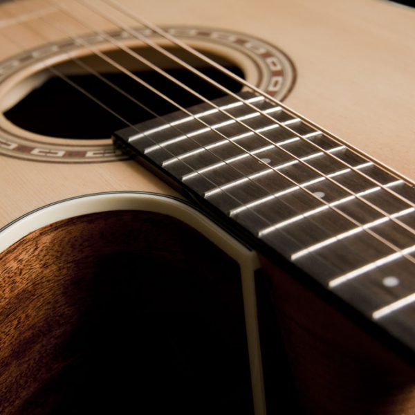 WD7SCE close up of the cutaway and sound hole roseette