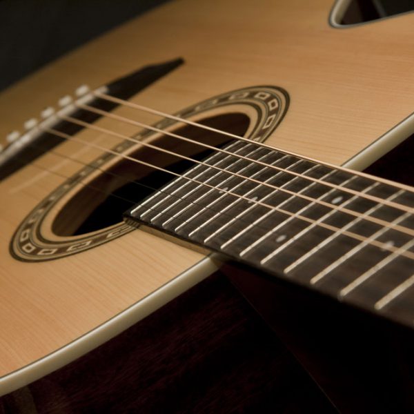 WG7S angled image of the fretboard and sound hole close up